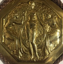 Medal médaille plaque d'occasion  France
