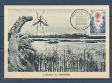 Carte 1er jour d'occasion  France