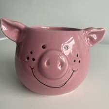 Percy pig succulent for sale  BEXLEYHEATH