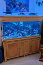 Aqua oak marine for sale  TROWBRIDGE