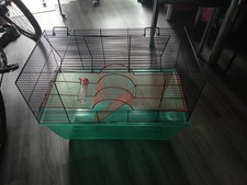 Large gerbilor hamster for sale  READING