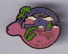 Rare pins pin d'occasion  Ménéac