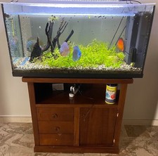 Acquario completo pesci usato  Supersano