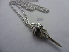 Crow raven bird for sale  ASHBOURNE
