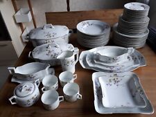 Speiseservice selb mirzi gebraucht kaufen  Regensburg