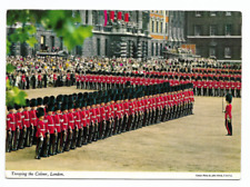 Trooping colour horse for sale  EDINBURGH