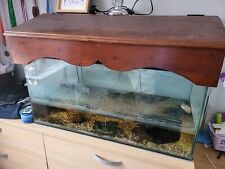 Used fish turtle for sale  LEE-ON-THE-SOLENT