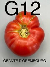 Graine seed tomate d'occasion  La Pacaudière