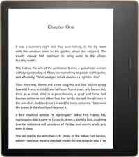 Kindle oasis 10th for sale  Bowie
