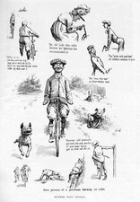 Bicycling summer days for sale  New London