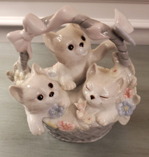 Three white kittens for sale  Augusta