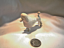 Miniature white standard for sale  Forney