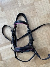 Trense shetty pony gebraucht kaufen  Crailsheim