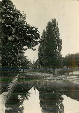 Ville bois pond d'occasion  Expédié en Belgium