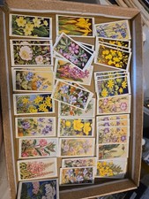 Wills cigarette cards for sale  STURMINSTER NEWTON