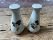 Denby salt pepper for sale  NOTTINGHAM