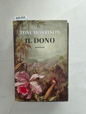 Dono toni morrison usato  Carpi