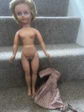 Pedigree teen doll for sale  STOCKBRIDGE