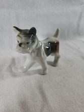 Bull dog american for sale  Ogdensburg