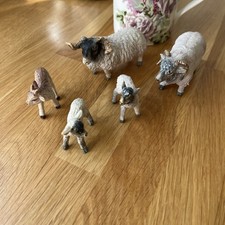 Sheep lamb vintage for sale  LYNDHURST