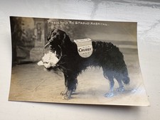 Postcards real photographs for sale  STOCKPORT