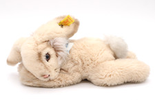 Steiff hase kuscheltier gebraucht kaufen  Münster