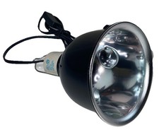 Reptile lamp bulb for sale  Fayetteville