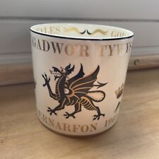 1969 wedgwood investiture for sale  LUTTERWORTH