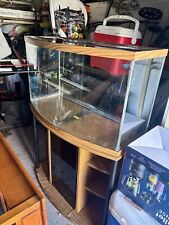 Large aquarium fish for sale  Philadelphia