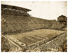 Oregon ducks poster for sale  Lake Oswego