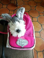 Pucci pups schnauzer for sale  Laredo