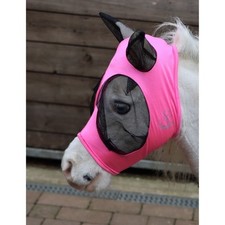 Ruggles shetland miniature for sale  LEICESTER