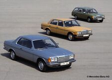 Pièces mercedes w123 d'occasion  Saumur