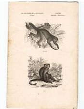 Antike lithographie grafik gebraucht kaufen  Leverkusen