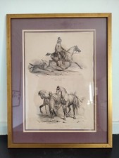 Adam cheval normand d'occasion Adam cheval normand d'occasion  Brouzet-lès-Alès