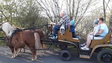 Ponygespann geschirr kutsche gebraucht kaufen  Schildau