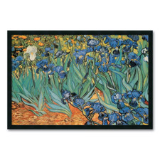 Garden irises framed for sale  Cheshire