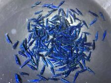 blu dream usato blu dream usato Concesio