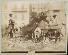 Italie bergers ca.1880 d'occasion  Pagny-sur-Moselle