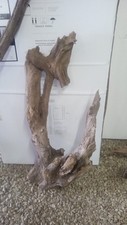 Large driftwood coral for sale  Sunbury