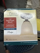 Patriot lighting paige for sale  Grand Junction