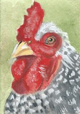 Aceo art trading for sale  Jonesborough