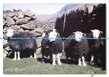 D183827 ply wool. for sale  WARLINGHAM