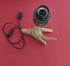 horn geweih gebraucht kaufen horn geweih gebraucht kaufen Bergheim
