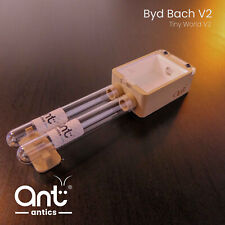 Ant starter nest for sale  CARMARTHEN