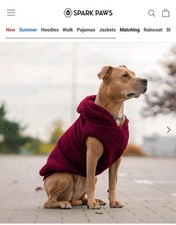 Teddy sherpa dog for sale  BOURNE