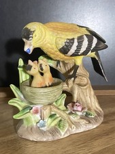 Gold finch bird for sale  Hamilton
