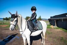 Childrens personalised equestr for sale  SCUNTHORPE