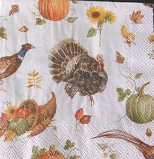 Individual turkey pumpkin for sale  Des Plaines