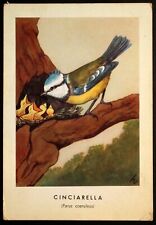 Cart.3213 cartolina illustrata usato  Crespina Lorenzana